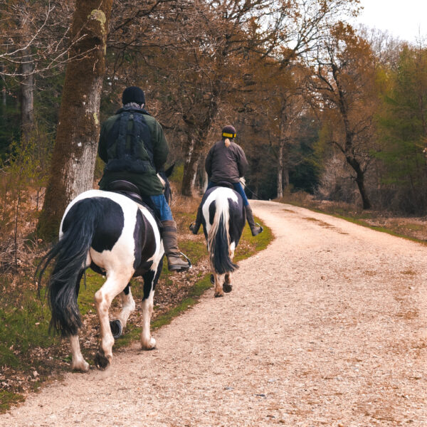 L'exursion a RANCH Sant’antonio